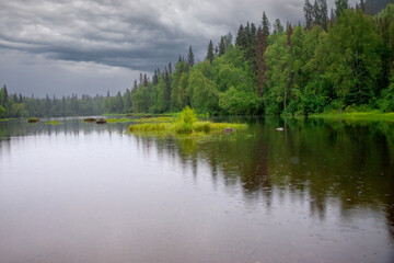 Obraz premium Summerlake and forest shoreline 