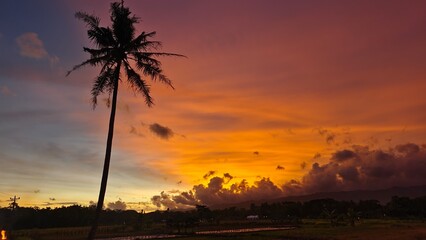 sunset seen from the rice field