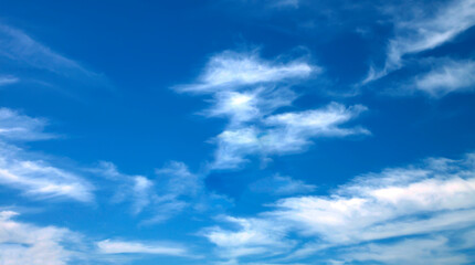 Obraz premium The vast blue sky