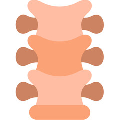 Spinal Cord Icon