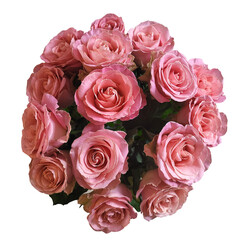 Bouquet of pink roses isolated on a transparent background