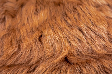 abstract brown fur natural background for fur coats