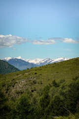Grass mountain top with a cliff and snow covered Swiss alps in the background with one cloud stripe in the sky, Switzerland