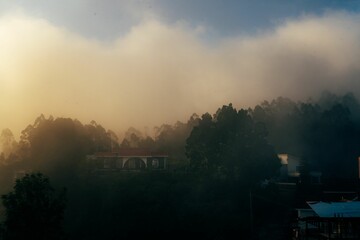 Fototapeta premium Misty clouds above trees