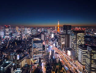Fototapeta premium 都会の夜景
