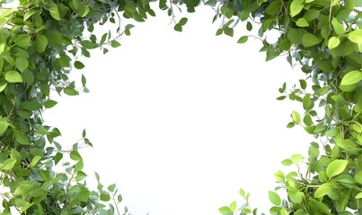 Fototapeta premium Lush green leaves frame, isolated on white background.