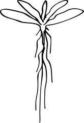 hand drawn side view of tree with root illustration.