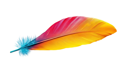 A Stunning Tropical Bird Feather Displaying Vibrant Colors Ideal for Art Projects, Nature Illustrations, and Educational Materials.