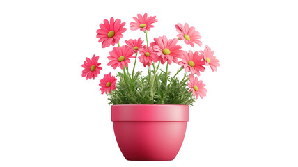 A Vibrant Flower Pot Overflowing with Colorful Blooms Perfect for Home Décor and Floral Arrangements.