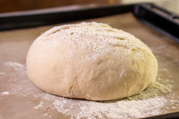 Raw yeast dough. Bread baking. Food concept