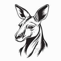 Kangaroo head animal wildlife Australia Vector Image isolated on white background.