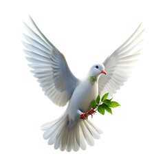 Fototapeta premium peace dove