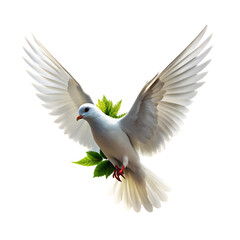 peace dove
