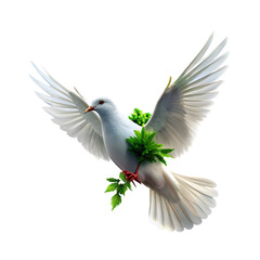 Obraz premium peace dove