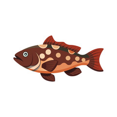  Grouper under water animal isolated flat vector illustration on white background
