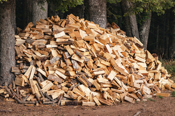 Firewood stacked and drying in the forest, ready for winter and the fireplace