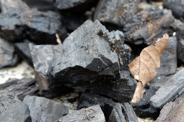 Charcoal from wood for fuel in cooking and others.