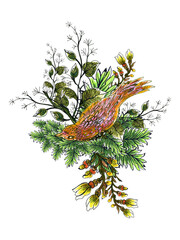 Hand drawn illustration outline black and colorful foliage leaves  bird bouquet leaf elements for your design textile, decorative paper, scrapbook