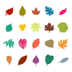 Fototapeta premium Hand Drawn Summer Leaves