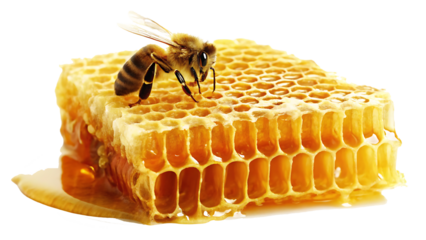 honey bee making honey on golden honeycombs isolated on white background PNG.AI GENERATED