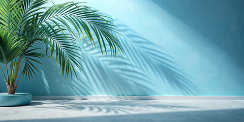 A potted palm sits in a bright indoor environment, casting intricate shadows on a light blue wall and floor. The sunlight creates a serene and calming atmosphere, emphasizing the plant's beauty