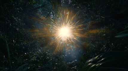 A bright yellow sun is shining through the trees