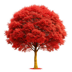 Large red tree