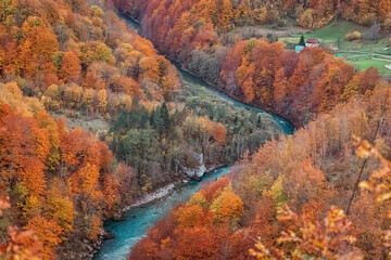 Scenic aerial view of Tara river flowing through the forest with colorful foliage in autumn, Durmitor national park, Montenegro