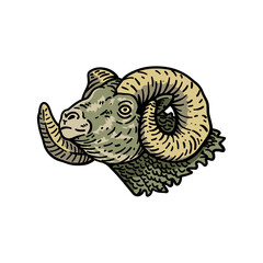 illustration vector graphic goat head for design, template, elemen, illustration, etc