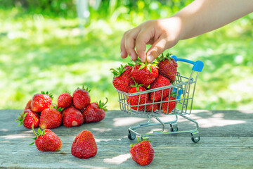 Child's hand takes juicy ripe strawberries from a small cart in a summer garden