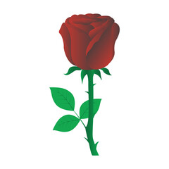 Elegant rose vector design with detailed petals and smooth curves