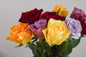 カラフルな薔薇