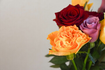 カラフルなばら