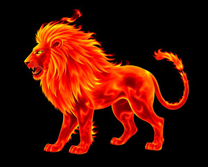 Fire lion on black background image