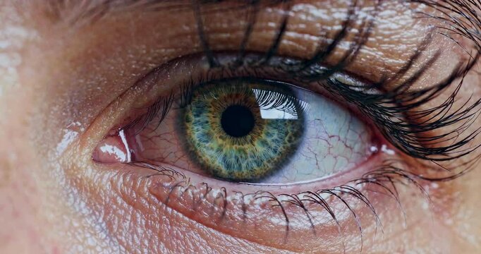 Dai un titolo in inglese con 200 caratteri e scrivi 49 tags di una parola sempre con gli oggetti/soggetti di maggior importanza nell&rsquo;immagine e ripeti le parole chiave del titolo.