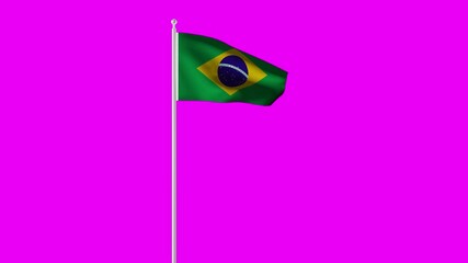 Brazil flag seamless waving animation. Brazil flag with fabric structure in the wind. Chroma key.