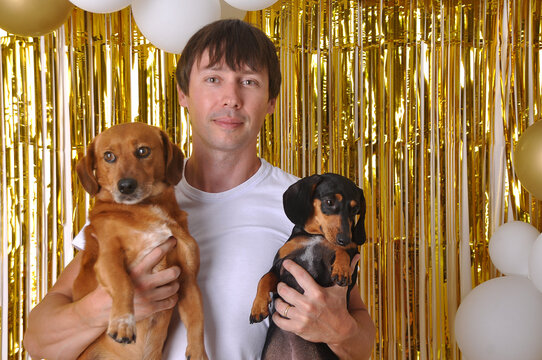 homem com dois cachorros fotos em clima de festa de ano novo dourado 