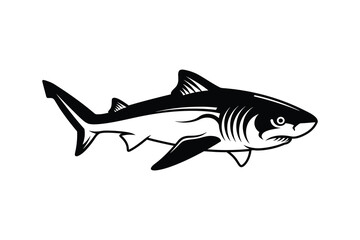 Bamboo shark vector graphic illustration.
