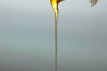 Detail of virgin olive oil falling from a bottle. The image allows copyspace