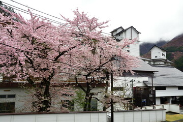 芦ノ牧温泉（福島県）