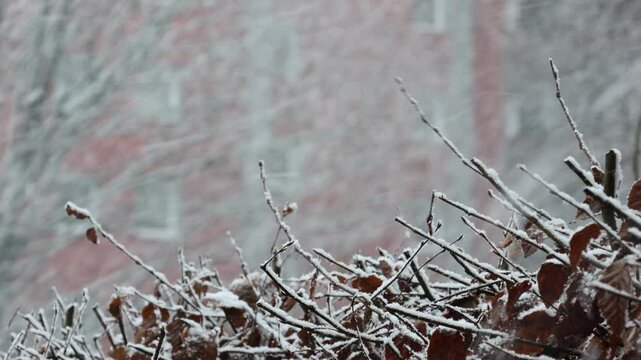 Schneefall in Hamburg 