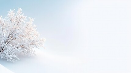 Fototapeta premium A white tree covered in snow on a snowy day