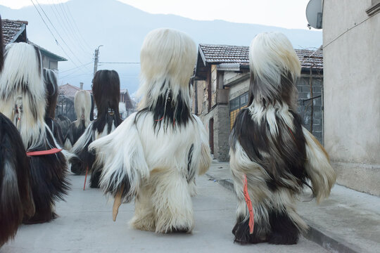 Kukeri Performers in Fur Costumes with Red Tassels