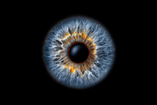 Close-up of human eye iris on black background