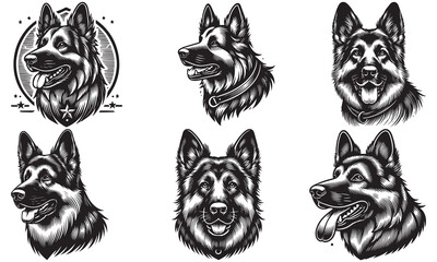 Vector set of Shepherd dogs, East European Shepherd, black Belgian Shepherd Dog or Groenendael, and German shepherd with black mask