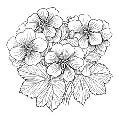 Elegant Silhouette Floral Flower Line Art Vector Illustration