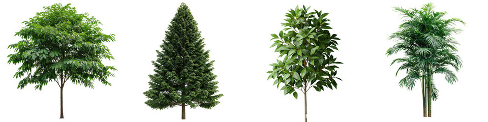 Fototapeta premium Assortment of diverse tall and short green trees with thick foliage growing in a natural forest landscape