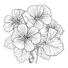 Elegant Silhouette Floral Flower Line Art Vector Illustration