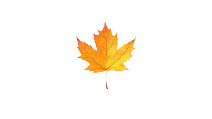 A Stunning Maple Leaf Showcasing Vivid Autumn Colors Perfect for Seasonal Designs and Nature-Inspired Projects.