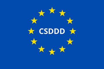 Corporate Sustainability Due Diligence Directive Concept (CSDDD). European Sustainability Initiative.